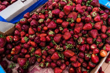 Kharkiv, Ukrayna, 6 Haziran 2024 Tüccar sokaklarda meyve ve sebze satıyor. Kharkiv her gün Rus saldırısı ve siren sesleri altında olduğu için insanlar hızlı alışveriş yapıyor..