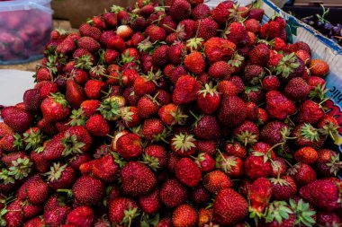 Kharkiv, Ukrayna, 6 Haziran 2024 Tüccar sokaklarda meyve ve sebze satıyor. Kharkiv her gün Rus saldırısı ve siren sesleri altında olduğu için insanlar hızlı alışveriş yapıyor..