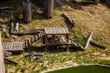 Kharkiv, Ukrayna, 11 Haziran 2024 Kharkiv Hayvanat Bahçesi, 1895 'te kuruldu. Savaşa ve şehre saldırı riskine rağmen burası açık ve aileler ve askerler tarafından ziyaret ediliyor..