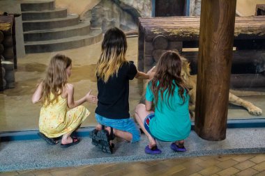 Kharkiv, Ukrayna, 11 Haziran 2024 Kharkiv Hayvanat Bahçesi, 1895 'te kuruldu. Savaşa ve şehre saldırı riskine rağmen burası açık ve aileler ve askerler tarafından ziyaret ediliyor..