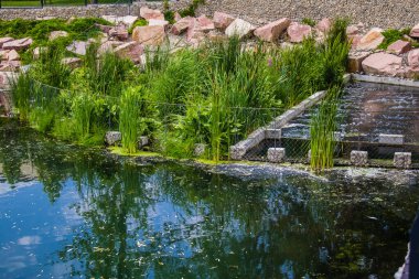 Kharkiv, Ukrayna, 11 Haziran 2024 Kharkiv Hayvanat Bahçesi, 1895 'te kuruldu. Savaşa ve şehre saldırı riskine rağmen burası açık ve aileler ve askerler tarafından ziyaret ediliyor..