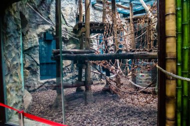 Kharkiv, Ukrayna, 11 Haziran 2024 Kharkiv Hayvanat Bahçesi, 1895 'te kuruldu. Savaşa ve şehre saldırı riskine rağmen burası açık ve aileler ve askerler tarafından ziyaret ediliyor..