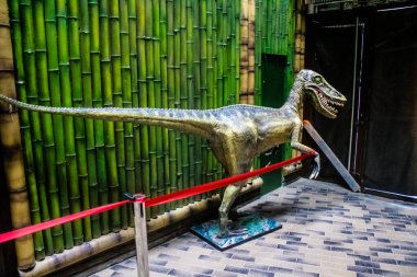 Kharkiv, Ukrayna, 11 Haziran 2024 Kharkiv Hayvanat Bahçesi, 1895 'te kuruldu. Savaşa ve şehre saldırı riskine rağmen burası açık ve aileler ve askerler tarafından ziyaret ediliyor..