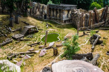 Kharkiv, Ukrayna, 11 Haziran 2024 Kharkiv Hayvanat Bahçesi, 1895 'te kuruldu. Savaşa ve şehre saldırı riskine rağmen burası açık ve aileler ve askerler tarafından ziyaret ediliyor..