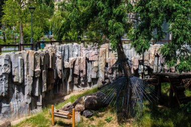 Kharkiv, Ukrayna, 11 Haziran 2024 Kharkiv Hayvanat Bahçesi, 1895 'te kuruldu. Savaşa ve şehre saldırı riskine rağmen burası açık ve aileler ve askerler tarafından ziyaret ediliyor..