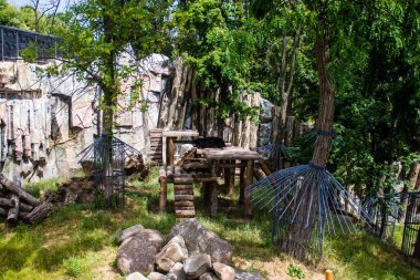 Kharkiv, Ukrayna, 11 Haziran 2024 Kharkiv Hayvanat Bahçesi, 1895 'te kuruldu. Savaşa ve şehre saldırı riskine rağmen burası açık ve aileler ve askerler tarafından ziyaret ediliyor..