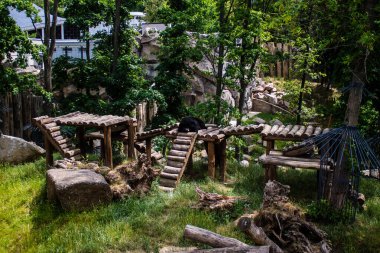 Kharkiv, Ukrayna, 11 Haziran 2024 Kharkiv Hayvanat Bahçesi, 1895 'te kuruldu. Savaşa ve şehre saldırı riskine rağmen burası açık ve aileler ve askerler tarafından ziyaret ediliyor..