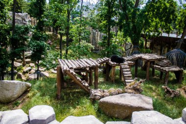 Kharkiv, Ukrayna, 11 Haziran 2024 Kharkiv Hayvanat Bahçesi, 1895 'te kuruldu. Savaşa ve şehre saldırı riskine rağmen burası açık ve aileler ve askerler tarafından ziyaret ediliyor..