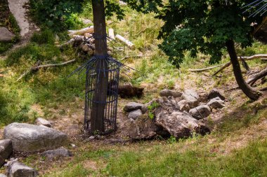 Kharkiv, Ukrayna, 11 Haziran 2024 Kharkiv Hayvanat Bahçesi, 1895 'te kuruldu. Savaşa ve şehre saldırı riskine rağmen burası açık ve aileler ve askerler tarafından ziyaret ediliyor..