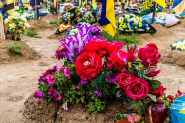 Kharkiv, Ukrayna, 13 Haziran 2024 Aleya Slavy, Harkiv 'in güneyindeki askeri mezarlık. Askerlerin mezarları, Ukrayna 'yı savunan kahramanlar göz alabildiğince uzanan çiçeklerle kaplıdır..