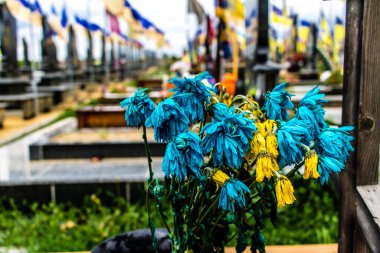 Kharkiv, Ukrayna, 13 Haziran 2024 Aleya Slavy, Harkiv 'in güneyindeki askeri mezarlık. Askerlerin mezarları, Ukrayna 'yı savunan kahramanlar göz alabildiğince uzanan çiçeklerle kaplıdır..