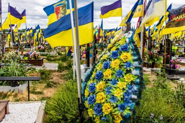 Kharkiv, Ukrayna, 13 Haziran 2024 Aleya Slavy, Harkiv 'in güneyindeki askeri mezarlık. Askerlerin mezarları, Ukrayna 'yı savunan kahramanlar göz alabildiğince uzanan çiçeklerle kaplıdır..