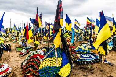 Kharkiv, Ukrayna, 13 Haziran 2024 Aleya Slavy, Harkiv 'in güneyindeki askeri mezarlık. Askerlerin mezarları, Ukrayna 'yı savunan kahramanlar göz alabildiğince uzanan çiçeklerle kaplıdır..