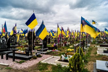 Kharkiv, Ukrayna, 13 Haziran 2024 Aleya Slavy, Harkiv 'in güneyindeki askeri mezarlık. Burada Ukrayna 'yı savunan kahramanlar dinleniyor. Sarı ve mavi bayraklar göz alabildiğince uzanıyor..