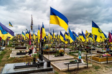 Kharkiv, Ukrayna, 13 Haziran 2024 Aleya Slavy, Harkiv 'in güneyindeki askeri mezarlık. Burada Ukrayna 'yı savunan kahramanlar dinleniyor. Sarı ve mavi bayraklar göz alabildiğince uzanıyor..