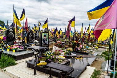 Kharkiv, Ukrayna, 13 Haziran 2024 Aleya Slavy, Harkiv 'in güneyindeki askeri mezarlık. Burada Ukrayna 'yı savunan kahramanlar dinleniyor. Sarı ve mavi bayraklar göz alabildiğince uzanıyor..