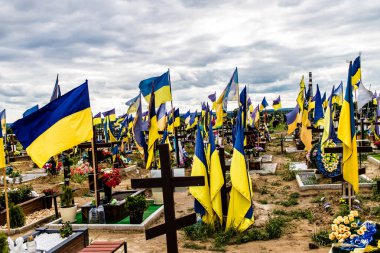 Kharkiv, Ukrayna, 13 Haziran 2024 Aleya Slavy, Harkiv 'in güneyindeki askeri mezarlık. Burada Ukrayna 'yı savunan kahramanlar dinleniyor. Sarı ve mavi bayraklar göz alabildiğince uzanıyor..