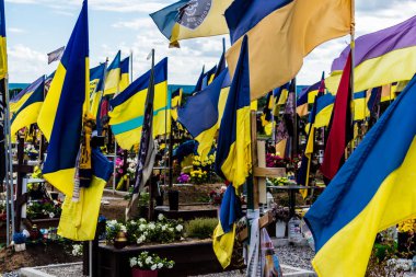 Kharkiv, Ukrayna, 13 Haziran 2024. Sarı ve mavi bayraklar Kharkiv 'in güneyindeki bir askeri mezarlık olan Aleya Slavy' ye kadar uzanıyor. Askerler burada, Ukrayna 'yı savunan kahramanlar..