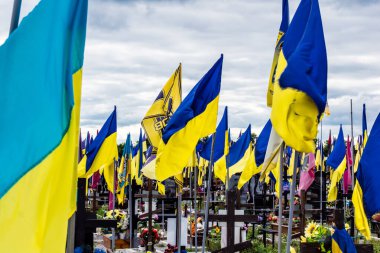 Kharkiv, Ukrayna, 13 Haziran 2024. Sarı ve mavi bayraklar Kharkiv 'in güneyindeki bir askeri mezarlık olan Aleya Slavy' ye kadar uzanıyor. Askerler burada, Ukrayna 'yı savunan kahramanlar..