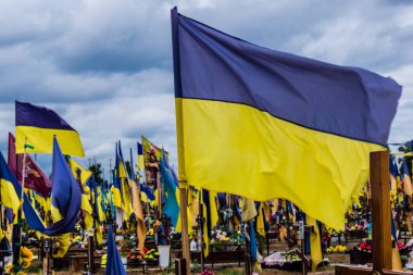 Kharkiv, Ukrayna, 13 Haziran 2024. Sarı ve mavi bayraklar Kharkiv 'in güneyindeki bir askeri mezarlık olan Aleya Slavy' ye kadar uzanıyor. Askerler burada, Ukrayna 'yı savunan kahramanlar..