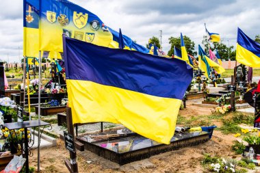 Kharkiv, Ukrayna, 13 Haziran 2024. Sarı ve mavi bayraklar Kharkiv 'in güneyindeki bir askeri mezarlık olan Aleya Slavy' ye kadar uzanıyor. Askerler burada, Ukrayna 'yı savunan kahramanlar..