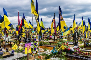 Kharkiv, Ukrayna, 13 Haziran 2024. Sarı ve mavi bayraklar Kharkiv 'in güneyindeki bir askeri mezarlık olan Aleya Slavy' ye kadar uzanıyor. Askerler burada, Ukrayna 'yı savunan kahramanlar..