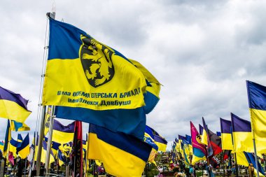 Kharkiv, Ukrayna, 13 Haziran 2024. Sarı ve mavi bayraklar Kharkiv 'in güneyindeki bir askeri mezarlık olan Aleya Slavy' ye kadar uzanıyor. Askerler burada, Ukrayna 'yı savunan kahramanlar..