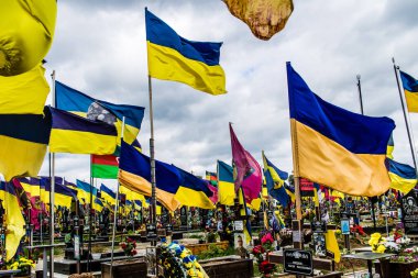 Kharkiv, Ukrayna, 13 Haziran 2024. Sarı ve mavi bayraklar Kharkiv 'in güneyindeki bir askeri mezarlık olan Aleya Slavy' ye kadar uzanıyor. Askerler burada, Ukrayna 'yı savunan kahramanlar..