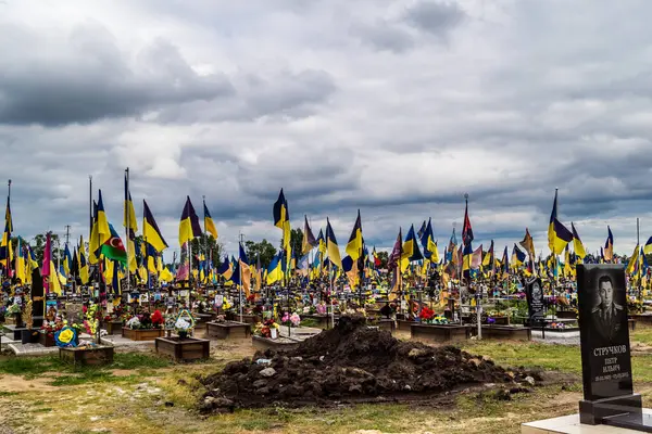 Kharkiv, Ukrayna, 13 Haziran 2024 Aleya Slavy, Harkiv 'in güneyindeki askeri mezarlık. Burada Ukrayna 'yı savunan kahramanlar dinleniyor. Sarı ve mavi bayraklar göz alabildiğince uzanıyor..