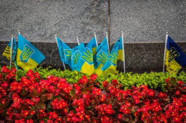 Kharkiv, Ukrayna, 15 Haziran 2024 Kharkiv meydanında ölen bir askerin adını taşıyan küçük bir bayrak dikilir. Her gün yeni bayraklar eklendiğini görüyoruz..