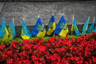 Kharkiv, Ukrayna, 15 Haziran 2024 Kharkiv meydanında ölen bir askerin adını taşıyan küçük bir bayrak dikilir. Her gün yeni bayraklar eklendiğini görüyoruz..