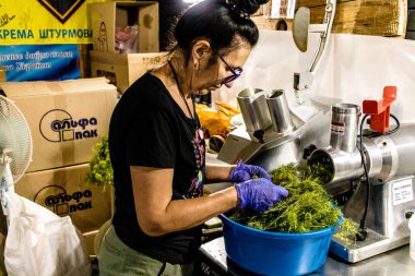 Kharkiv, Ukrayna, 17 Haziran 2024 Palyanica yardım kuruluşundan gönüllüler Ukrayna askerleri için ev yapımı yemekler pişirdiler. Bazı yemekler İHA 'larla savaş bölgelerine teslim edilmek üzere pişirilir..