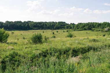 Kharkiv Oblastı, Ukrayna, 19 Haziran 2024 Ukrayna ve Rus silahlı kuvvetleri arasındaki gri bölgede. Bu tampon bölge tehlikeli ve bölgede öfke ile mücadele ediliyor..