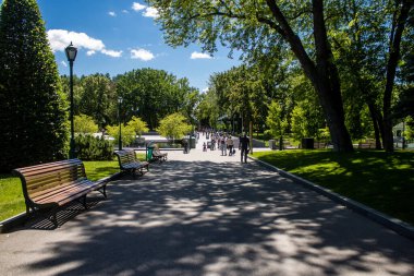 Kharkiv, Ukrayna, 21 Haziran 2024 Shevchenko Garden, yüzyıllık meşe ağaçları, fıskiyeler, çiçek yatakları ve spor malzemeleriyle Harkiv 'in göbeğinde bulunan zarif bir park. İnsanlar oraya yürümeyi sever..