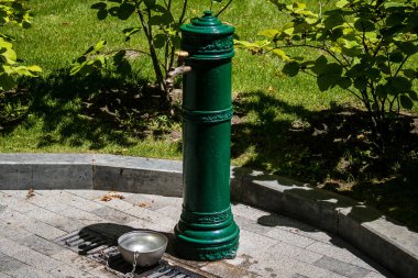 Kharkiv, Ukrayna, 21 Haziran 2024 Shevchenko Garden, yüzyıllık meşe ağaçları, fıskiyeler, çiçek yatakları ve spor malzemeleriyle Harkiv 'in göbeğinde bulunan zarif bir park. İnsanlar oraya yürümeyi sever..