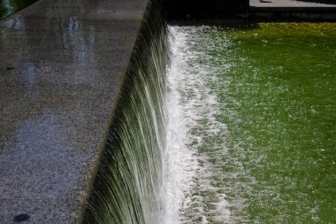 Kharkiv, Ukrayna, 21 Haziran 2024 Shevchenko Garden, yüzyıllık meşe ağaçları, fıskiyeler, çiçek yatakları ve spor malzemeleriyle Harkiv 'in göbeğinde bulunan zarif bir park. İnsanlar oraya yürümeyi sever..