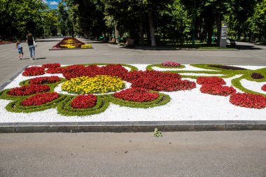 Kharkiv, Ukrayna, 21 Haziran 2024 Shevchenko Garden, yüzyıllık meşe ağaçları, fıskiyeler, çiçek yatakları ve spor malzemeleriyle Harkiv 'in göbeğinde bulunan zarif bir park. İnsanlar oraya yürümeyi sever..