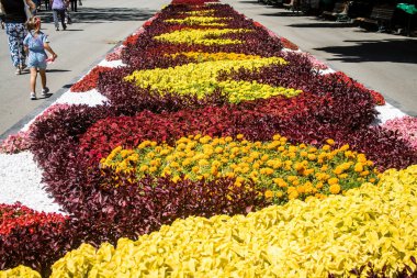 Kharkiv, Ukrayna, 21 Haziran 2024 Shevchenko Garden, yüzyıllık meşe ağaçları, fıskiyeler, çiçek yatakları ve spor malzemeleriyle Harkiv 'in göbeğinde bulunan zarif bir park. İnsanlar oraya yürümeyi sever..