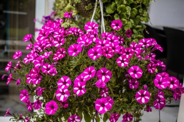 Kharkiv, Ukrayna, 25 Haziran 2024 Kharkiv şehri Rusya ile savaş sırasında, Kharkiv 'deki binalar Rus füzelerinin hedefi ve insanlar her gün sirenler çalsa da sokaklardalar.