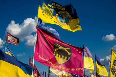 Kharkiv, Ukrayna, 28 Haziran 2024 Aleya Slavy, Harkiv 'in güneyindeki askeri mezarlık. Askerlerin mezarları, Ukrayna 'yı savunan kahramanlar göz alabildiğince uzanan çiçeklerle kaplıdır..