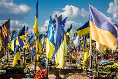 Kharkiv, Ukrayna, 28 Haziran 2024 Aleya Slavy, Harkiv 'in güneyindeki askeri mezarlık. Askerlerin mezarları, Ukrayna 'yı savunan kahramanlar göz alabildiğince uzanan çiçeklerle kaplıdır..