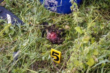 Kharkiv, Ukrayna, 30 Haziran 2024 adli tıp uzmanları Nova Poshta terminalindeki bir Rus hava bombasıyla bir hava saldırısına yanıt verdiler. Cesedin kalıntıları bulundu ve kanıt toplandı..
