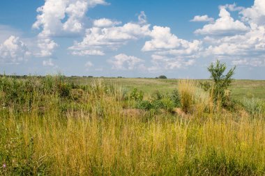 Vesele, Ukrayna, 2 Temmuz 2024 Vesele köyünde hasar gören bina. Rus kuvvetleri Kharkiv Oblastı 'ndaki Vesele köyüne güdümlü hava bombasıyla saldırdılar..