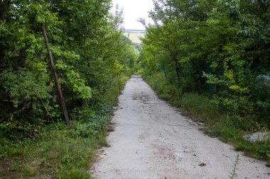 Vesele, Ukrayna, 2 Temmuz 2024 Vesele köyünde hasar gören bina. Rus kuvvetleri Kharkiv Oblastı 'ndaki Vesele köyüne güdümlü hava bombasıyla saldırdılar..