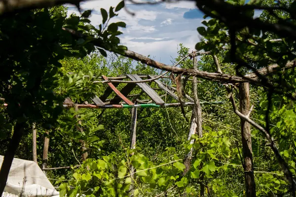 Vesele, Ukrayna, 2 Temmuz 2024 Vesele köyünde hasar gören bina. Rus kuvvetleri Kharkiv Oblastı 'ndaki Vesele köyüne güdümlü hava bombasıyla saldırdılar..