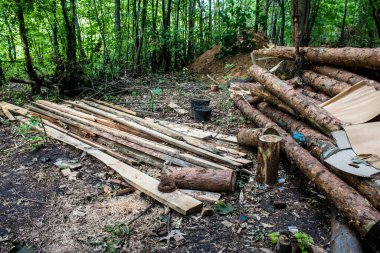 Vesele, Ukrayna, 2 Temmuz 2024 Ukrayna ordusu Ukrayna ve Rus silahlı kuvvetleri arasındaki gri bölgede. Bu tampon bölge tehlikeli ve bölgede öfke ile mücadele ediliyor..