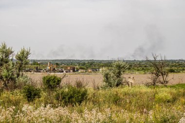 Donbass, Ukrayna, 6 Temmuz 2024 Ukrayna ve Rus silahlı kuvvetleri arasındaki gri bölgede. Tampon bölge tehlikeli ve bölgede öfke ile mücadele ediliyor. Bombalamalar yoğun..