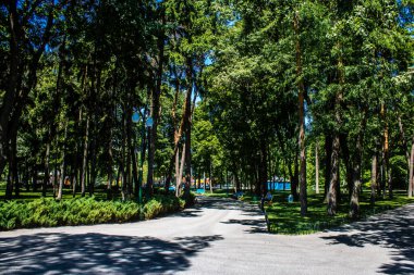Kharkiv, Ukrayna, 9 Temmuz 2024 Maxim Gorky Park for Culture and Leisure, Kharkiv 'de bir belediye parkı. 2022 Kharkiv Muharebesi sırasında park ağır hasar gördü ve halka kapalı kalmaya devam ediyor.