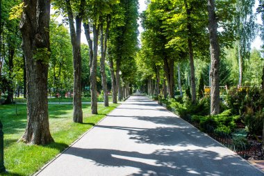 Kharkiv, Ukrayna, 9 Temmuz 2024 Maxim Gorky Park for Culture and Leisure, Kharkiv 'de bir belediye parkı. 2022 Kharkiv Muharebesi sırasında park ağır hasar gördü ve halka kapalı kalmaya devam ediyor.