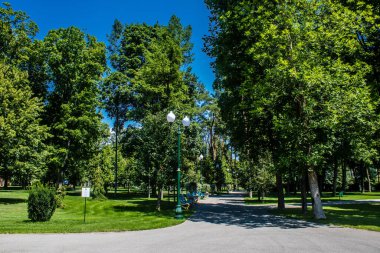 Kharkiv, Ukrayna, 9 Temmuz 2024 Maxim Gorky Park for Culture and Leisure, Kharkiv 'de bir belediye parkı. 2022 Kharkiv Muharebesi sırasında park ağır hasar gördü ve halka kapalı kalmaya devam ediyor.